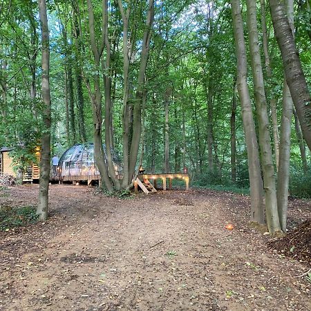 Le Dome De Namur - Une Nuit Insolite Dans Les Bois Luaran gambar