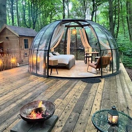 Le Dome De Namur - Une Nuit Insolite Dans Les Bois Luaran gambar
