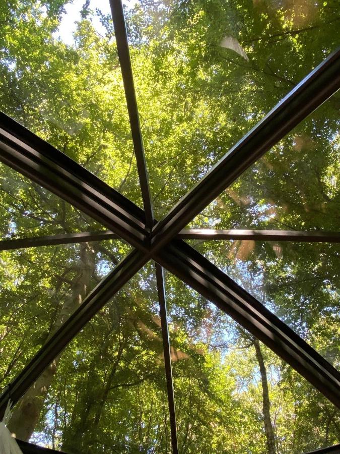 Le Dome De Namur - Une Nuit Insolite Dans Les Bois Luaran gambar