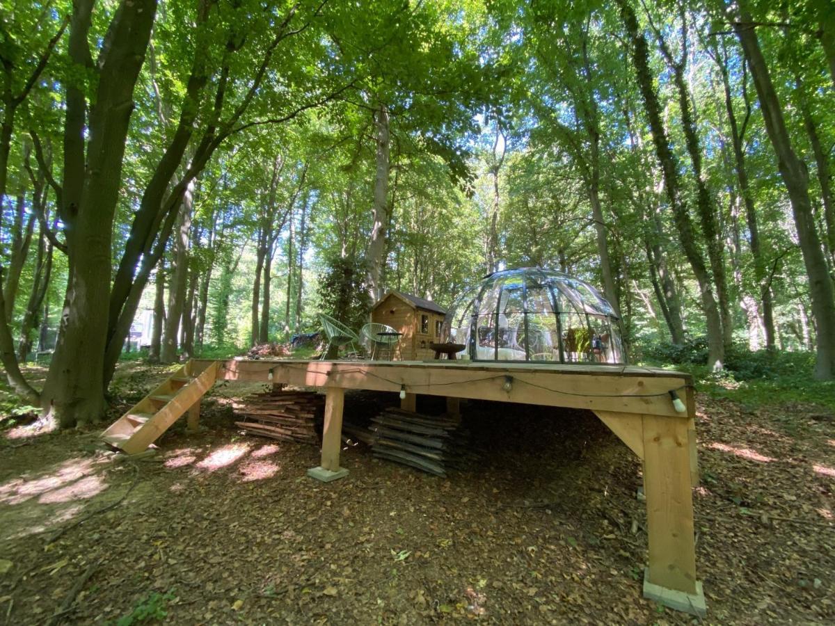 Le Dome De Namur - Une Nuit Insolite Dans Les Bois Luaran gambar