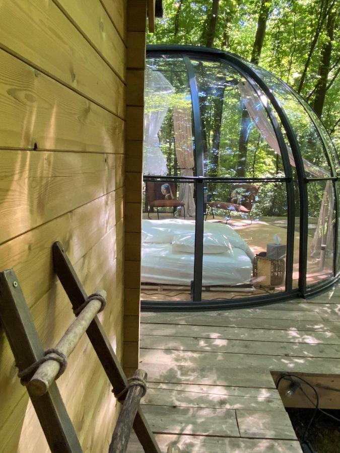Le Dome De Namur - Une Nuit Insolite Dans Les Bois Luaran gambar