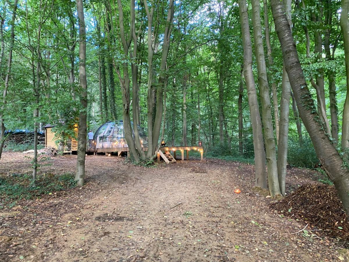 Le Dome De Namur - Une Nuit Insolite Dans Les Bois Luaran gambar