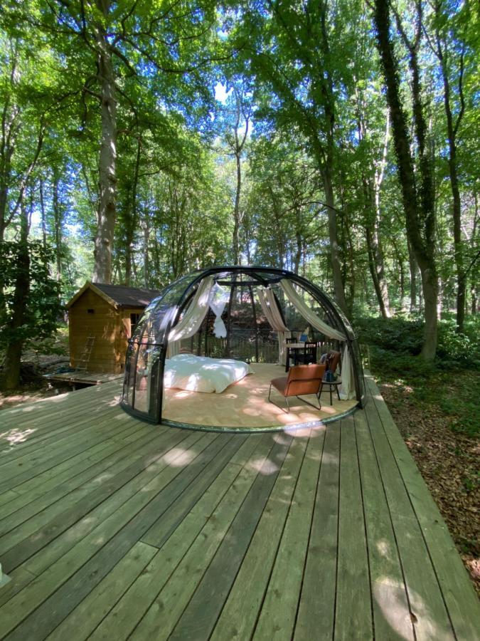 Le Dome De Namur - Une Nuit Insolite Dans Les Bois Luaran gambar