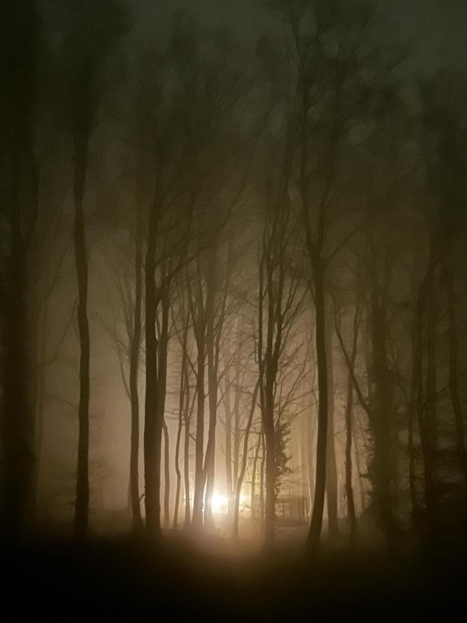 Le Dome De Namur - Une Nuit Insolite Dans Les Bois Luaran gambar