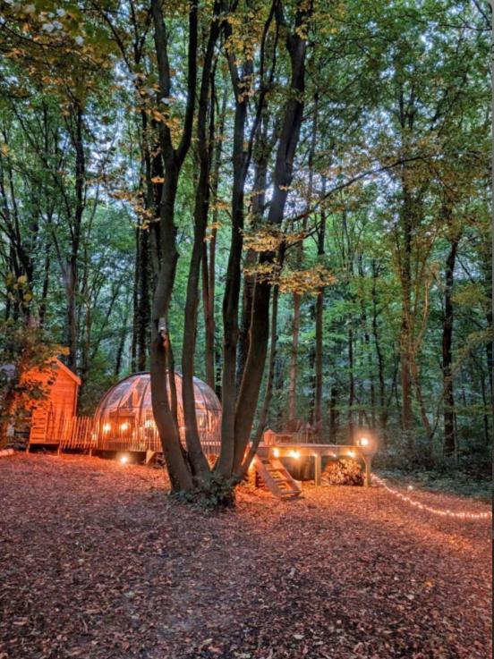 Le Dome De Namur - Une Nuit Insolite Dans Les Bois Luaran gambar