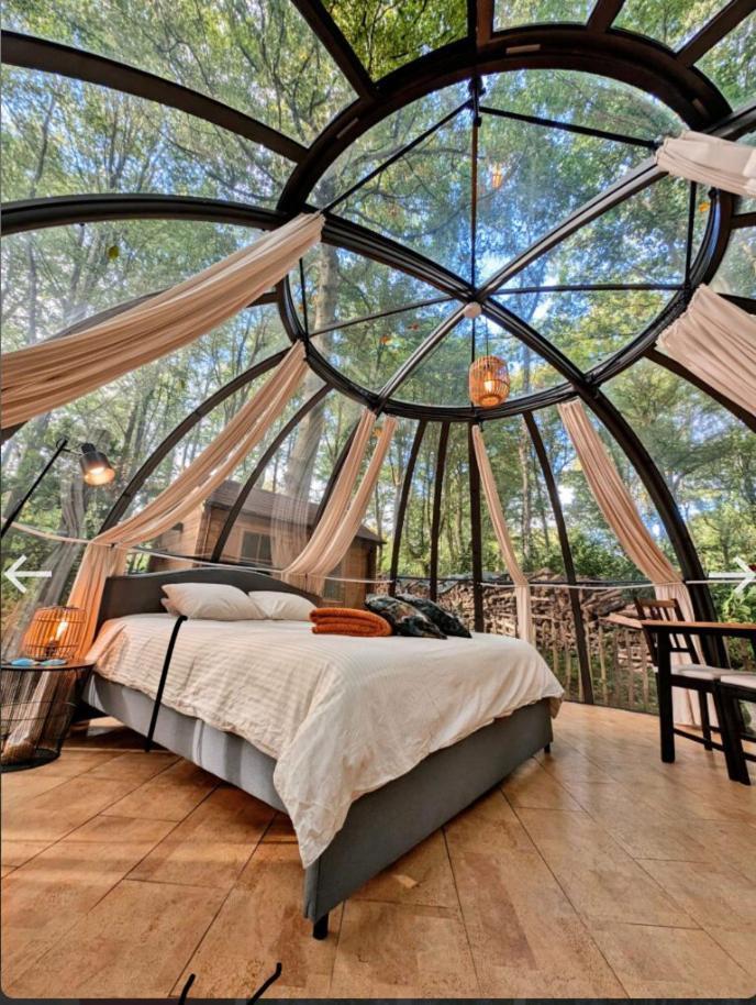Le Dome De Namur - Une Nuit Insolite Dans Les Bois Luaran gambar
