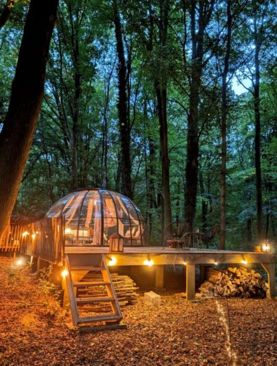 Le Dome De Namur - Une Nuit Insolite Dans Les Bois Luaran gambar