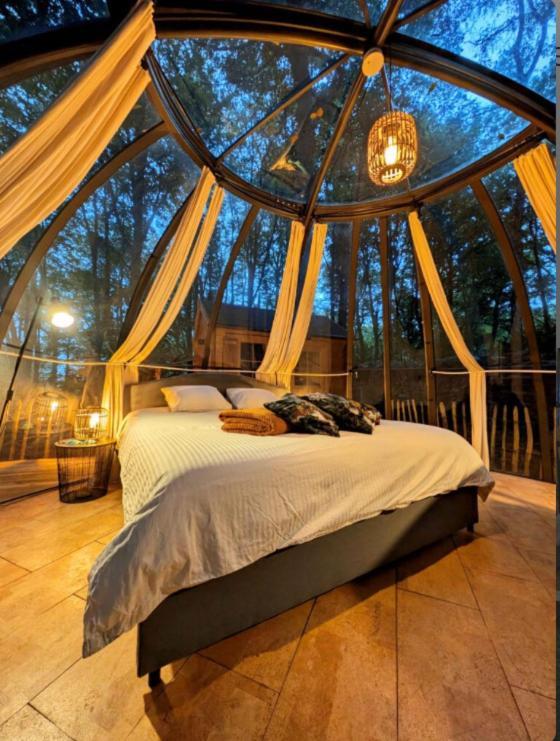 Le Dome De Namur - Une Nuit Insolite Dans Les Bois Luaran gambar